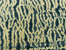 Shibori . Natural Color Cotton Fabric ~ 23 { Per meter }